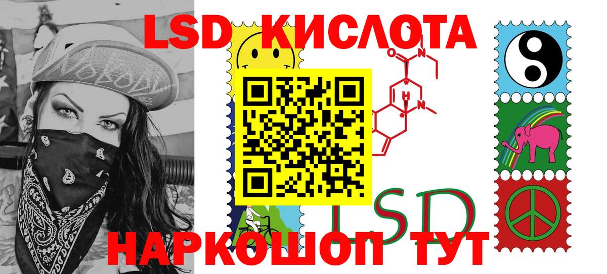 Галлюциногенные грибы Кудымкар